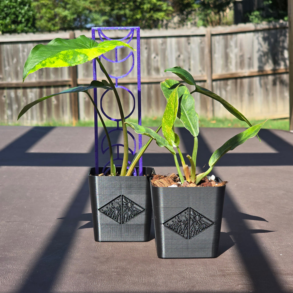 Day and Night Pup Cups