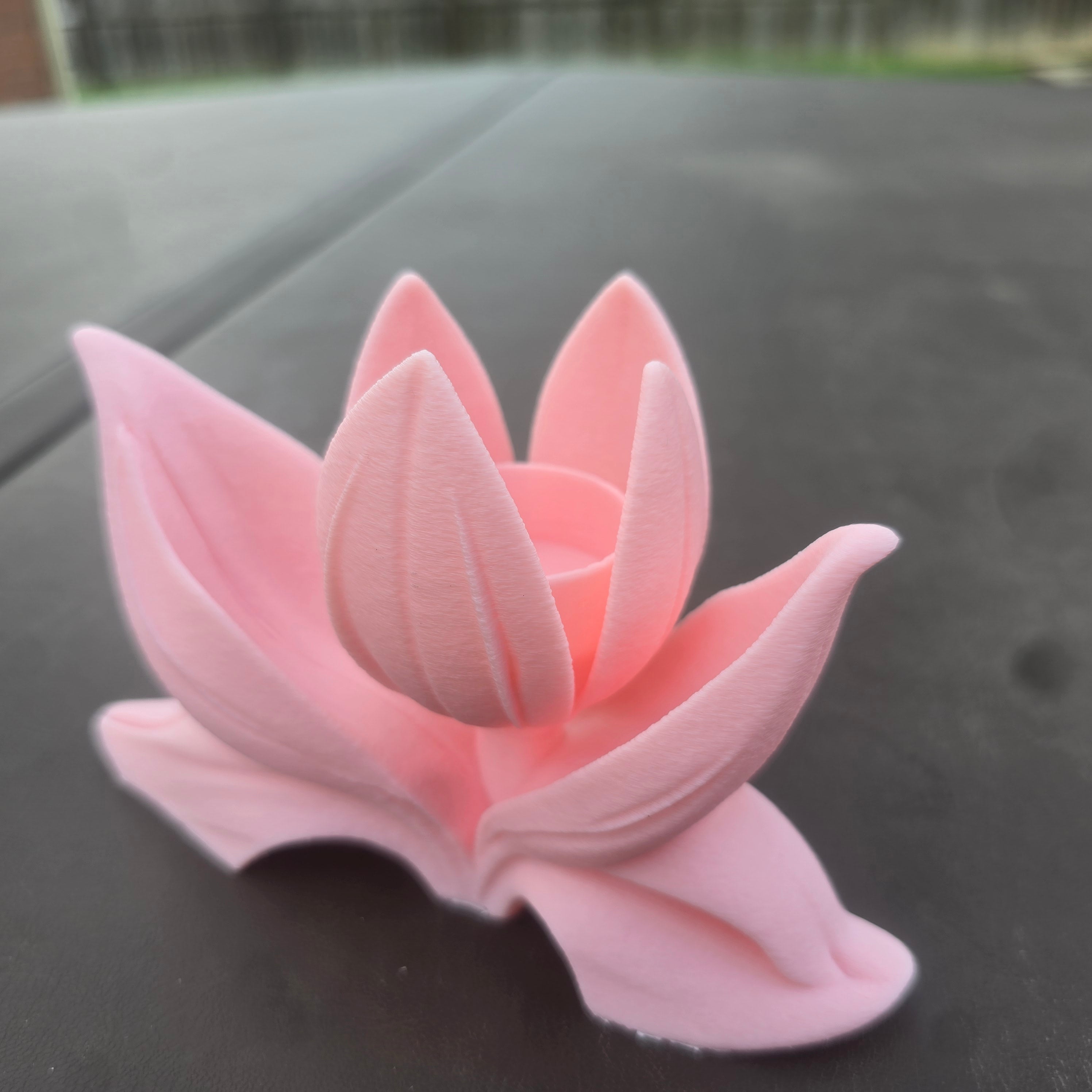 Tulip Tea Light