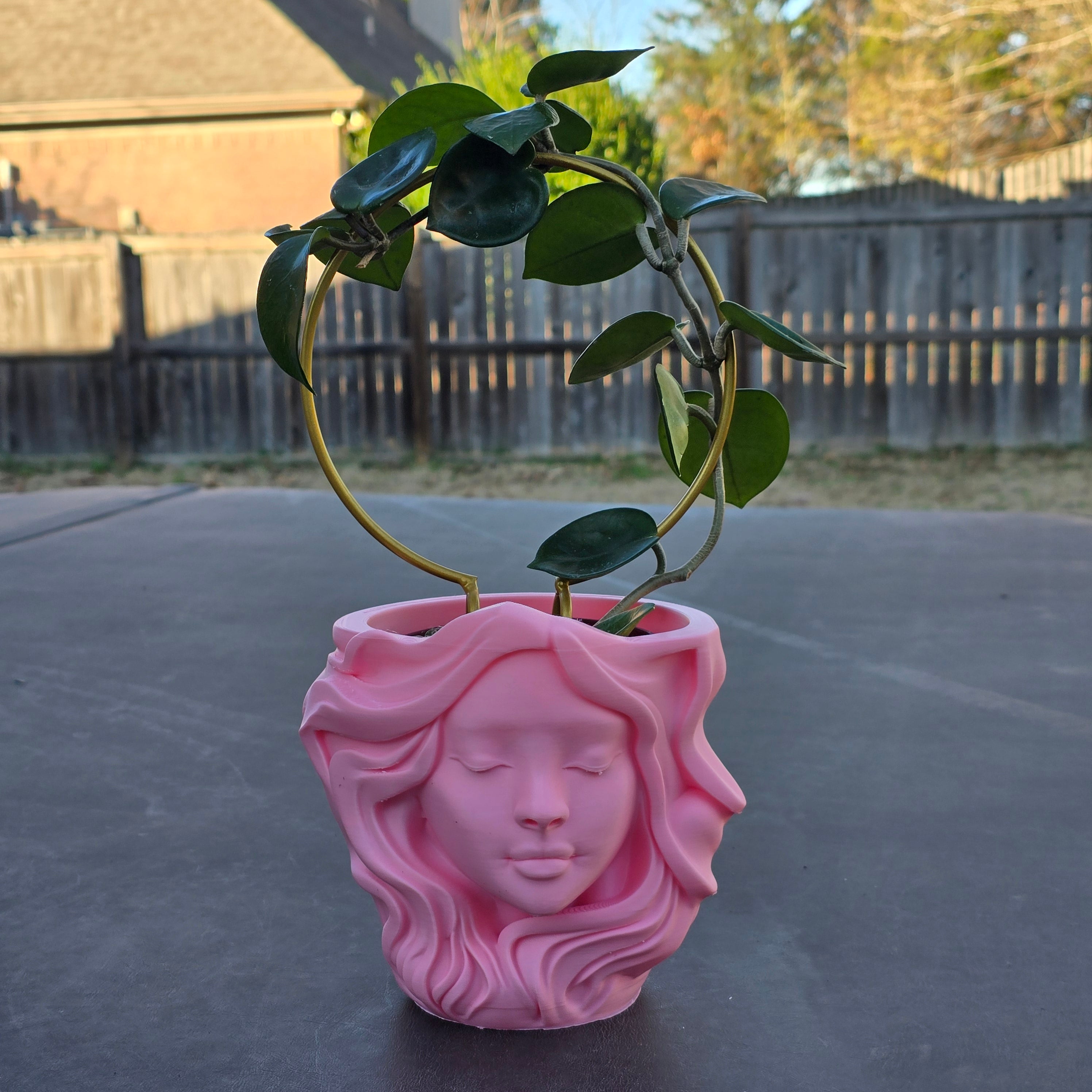 Goddess Pot