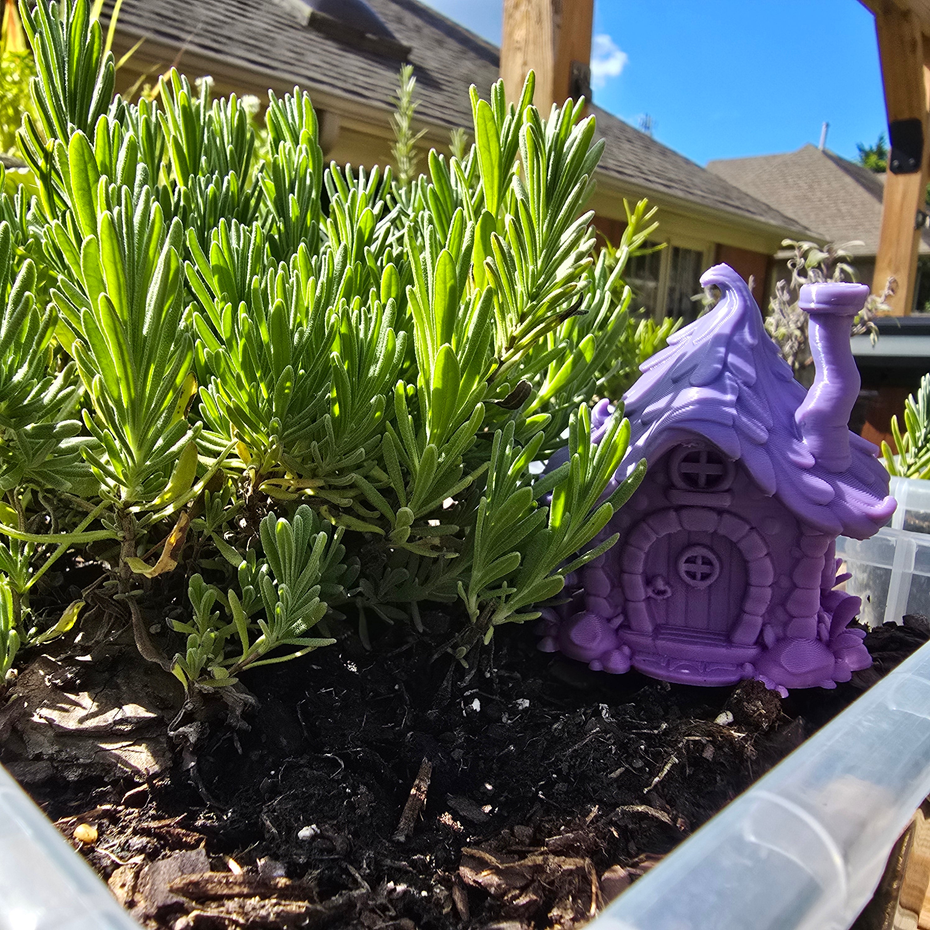 Fairy House 1